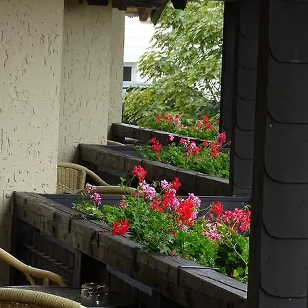 招待所 米克乡间别墅旅馆 Hontheim