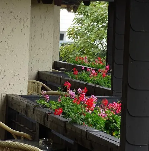 Πανσιόν Mieke's Landhaus Hontheim